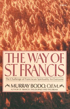 bigCover of the book The Way of St. Francis by 