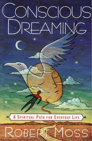 Book cover of Conscious Dreaming