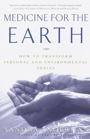 Book cover of Medicine for the Earth