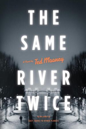 Cover of the book The Same River Twice by Debra J. Dickerson