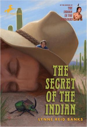 Cover of the book The Secret of the Indian by Mini Grey