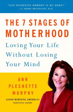 bigCover of the book The 7 Stages of Motherhood by 