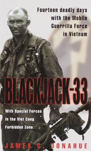 Cover of the book Blackjack-33 by Damien Bona