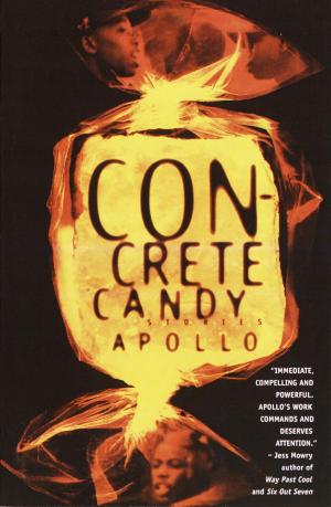 bigCover of the book Concrete Candy by 