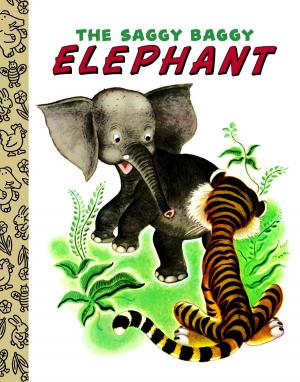 Book cover of The Saggy Baggy Elephant