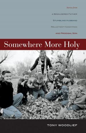 Cover of the book Somewhere More Holy by Sebastian Traeger, Greg D. Gilbert