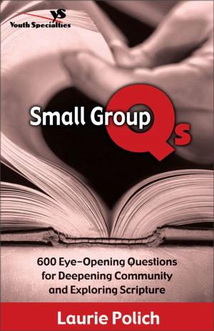 Book cover of Small Group Qs