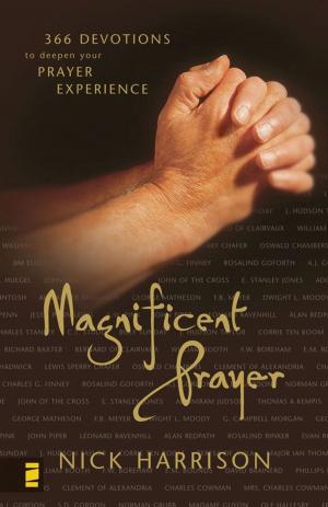Cover of the book Magnificent Prayer by Rebekah Lyons