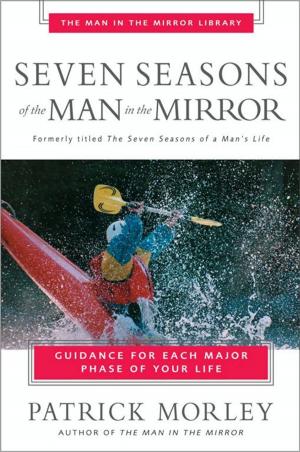 Cover of the book Seven Seasons of the Man in the Mirror by James Scott Bell