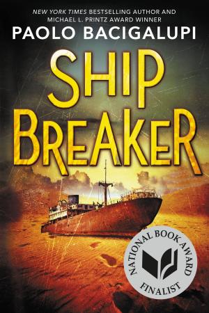 Book cover of Ship Breaker