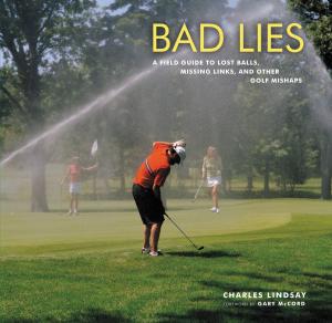 Cover of the book Bad Lies by Peter Manseau