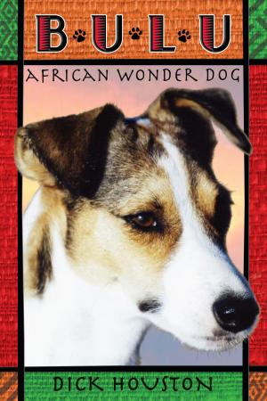 Cover of the book Bulu: African Wonder Dog by Deborah Hopkinson