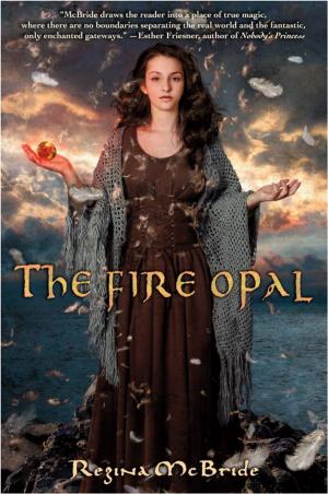 Cover of the book The Fire Opal by Verena Radlingmayr