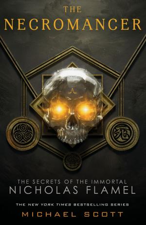 Cover of the book The Necromancer by Rebecca Kai Dotlich