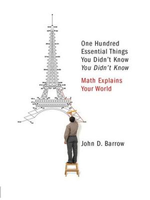 Book cover of 100 Essential Things You Didn't Know You Didn't Know: Math Explains Your World