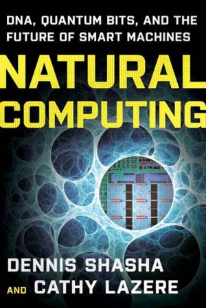 Cover of the book Natural Computing: DNA, Quantum Bits, and the Future of Smart Machines by Steve Andreas