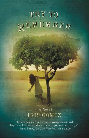 Cover of the book Try to Remember by Cornelia Read