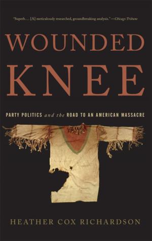 bigCover of the book Wounded Knee by 