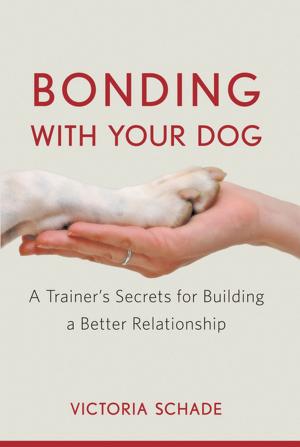 Cover of the book Bonding with Your Dog by Rabbi David Lyon
