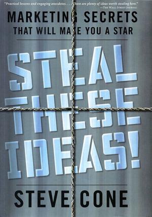 Cover of the book Steal These Ideas! by Chiara Simeone-DiFrancesco, Eckhard Roediger, Bruce A. Stevens