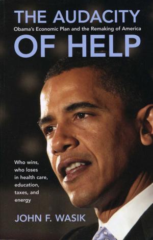Cover of the book The Audacity of Help by Dan Gookin