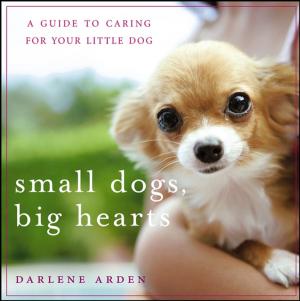 Cover of the book Small Dogs, Big Hearts by Steve Sheinkin