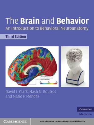 Cover of the book The Brain and Behavior by Enrique Rodríguez-Alegría