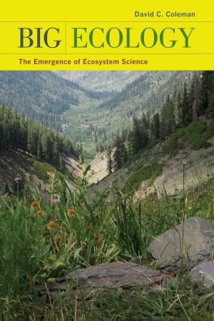 Book cover of Big Ecology