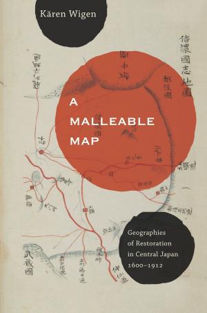 Cover of the book A Malleable Map by Martin Munro