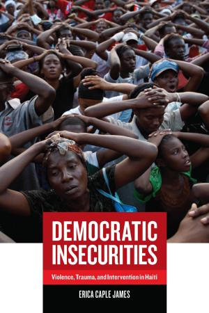 Cover of the book Democratic Insecurities by David Blum