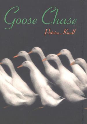 Cover of the book Goose Chase by Lauren Baratz-Logsted