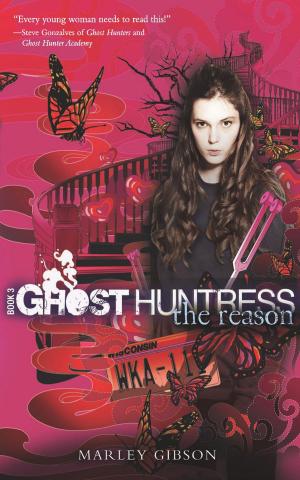 Cover of the book Ghost Huntress Book 3: The Reason by Catherine Jinks