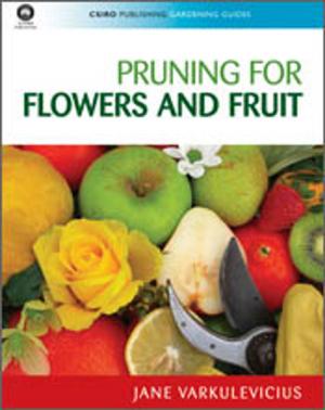 Cover of the book Pruning for Flowers and Fruit by David  Lindsay