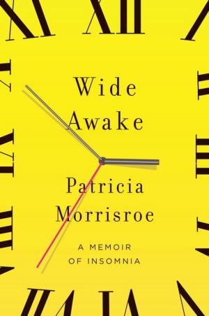 Cover of the book Wide Awake by Harold M. Silverman, Joseph Romano, Gary Elmer