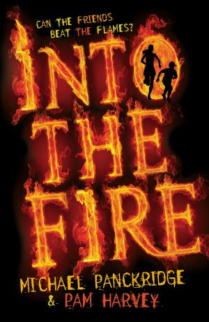 Cover of the book Into the Fire by Dr. Julie M. Wood