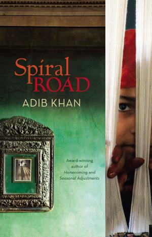 Cover of the book Spiral Road by Judy Johnson