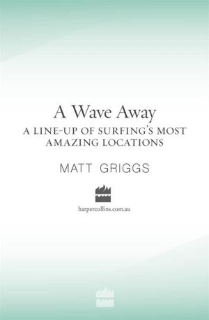 Cover of the book A Wave Away by Nick Cummins