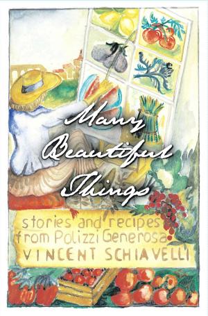 Cover of the book Many Beautiful Things by Abelie Holly