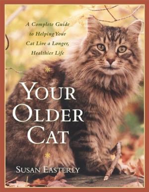 Cover of the book Your Older Cat by Kay Allenbaugh