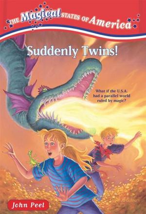Book cover of Suddenly Twins!
