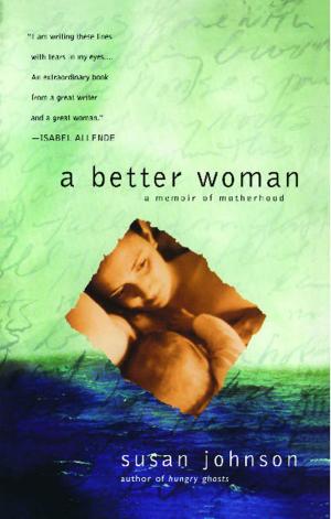 Cover of the book A Better Woman by Paddy O'Reilly