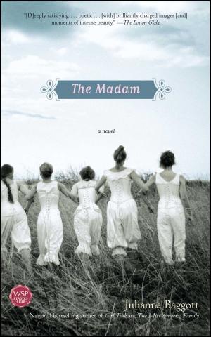 Cover of the book The Madam by Jen Adams