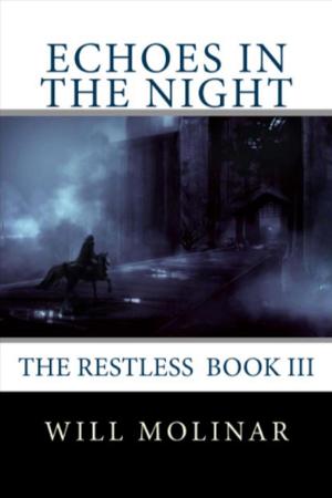 Cover of the book Echoes in the Night by Sharon Kull