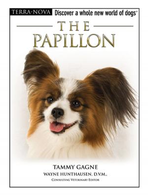 Cover of the book The Papillon by Karen Commings