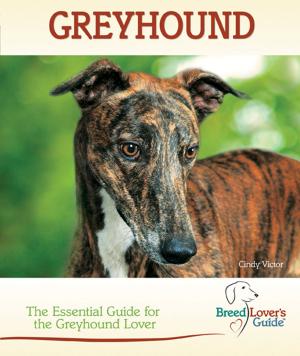 Cover of the book Greyhound by Myra Savant-Harris