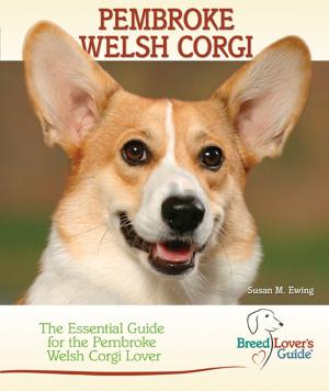 Cover of the book Pembroke Welsh Corgi by TFH Editors
