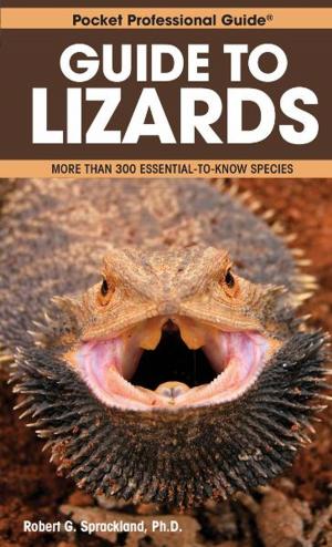 Book cover of Guide to Lizards