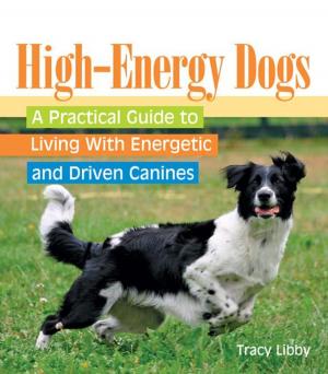 Cover of the book High-Energy Dogs by Robert G. Sprackland, Ph.D.