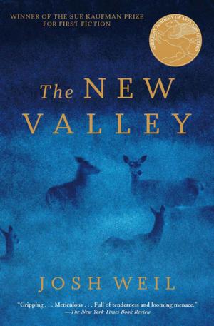 Cover of the book The New Valley by Masood Farivar