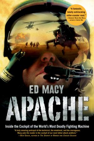 Cover of the book Apache by Bruce Jay Friedman
